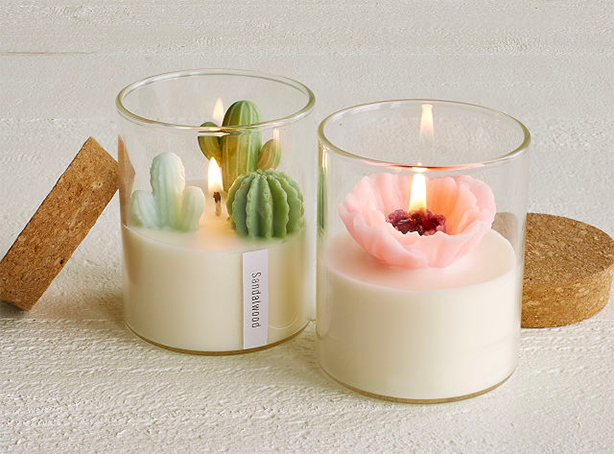 Cactus terrarium κεριά δώρα της ημέρας του Αγίου Βαλεντίνου