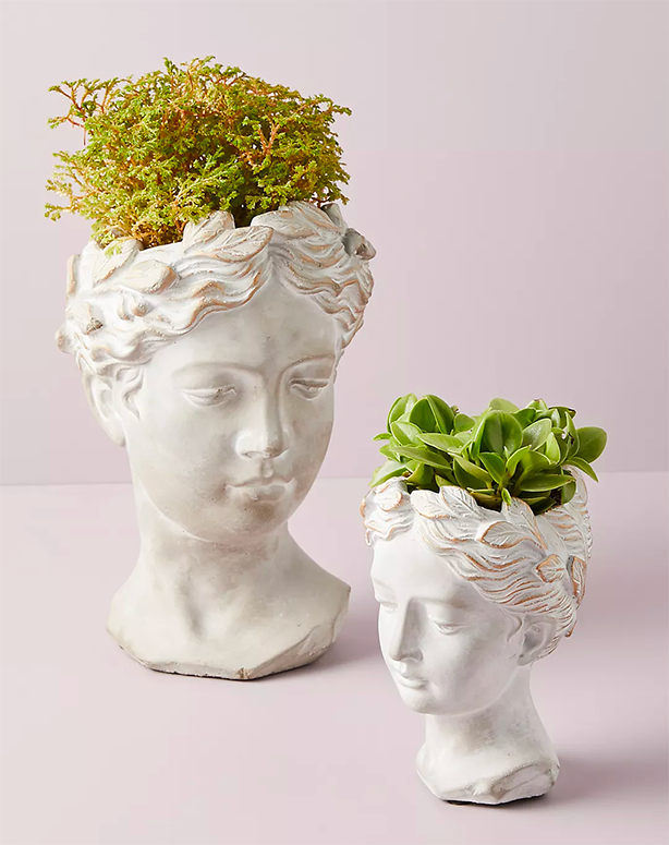 Grecian Bust Head Prodters