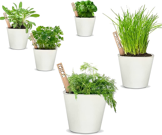 Εσωτερικά Windows αυτοτελής Smart Herb Planter με 5 γλάστρες.